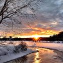 winter landscape