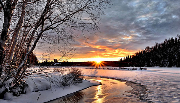 winter landscape