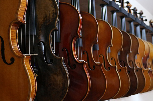 violins