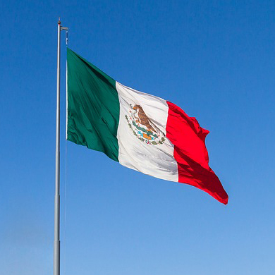 Mexican Flag